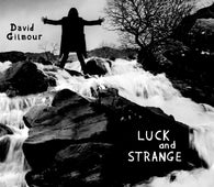 David Gilmour - Luck And Strange